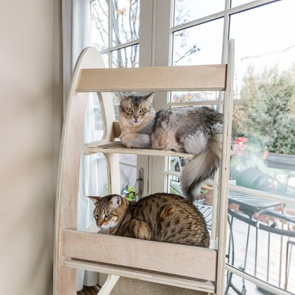 Contoure Cat Tree