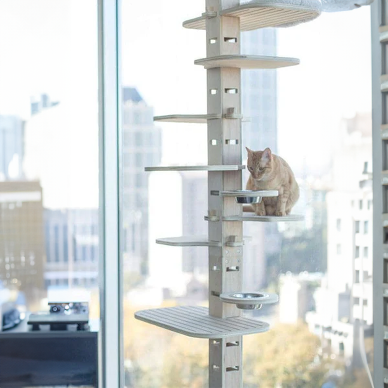 Elevation Cat Tower