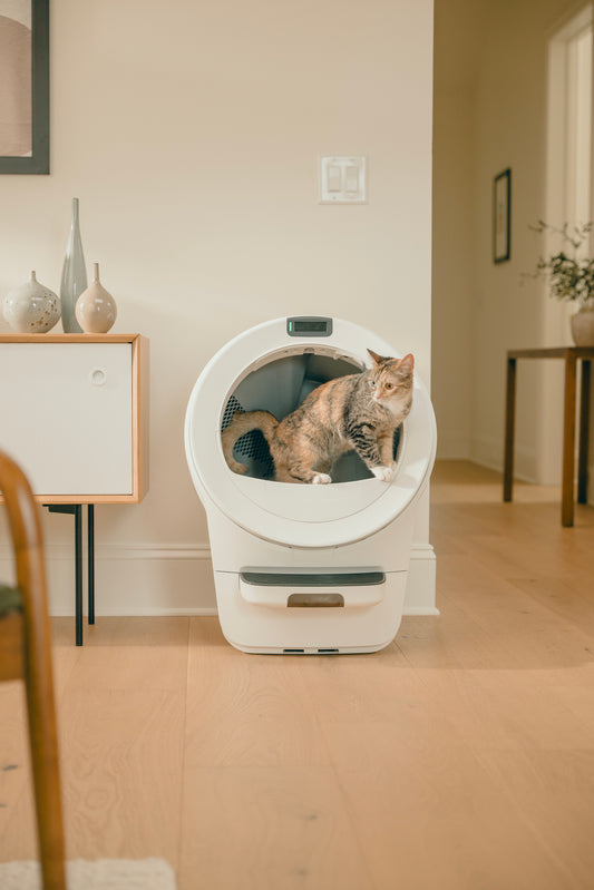 Litter-Robot® 5