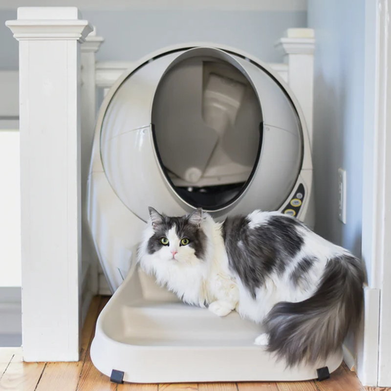 Buy Litter Robot Online For Scoop Free Litter Box Cleaning Cat Evolution