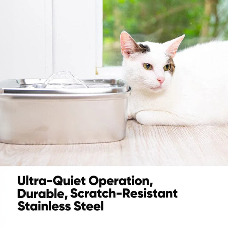Petwant Stainless Steel Filtered Water Fountain