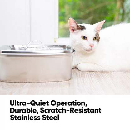 Petwant Stainless Steel Filtered Water Fountain