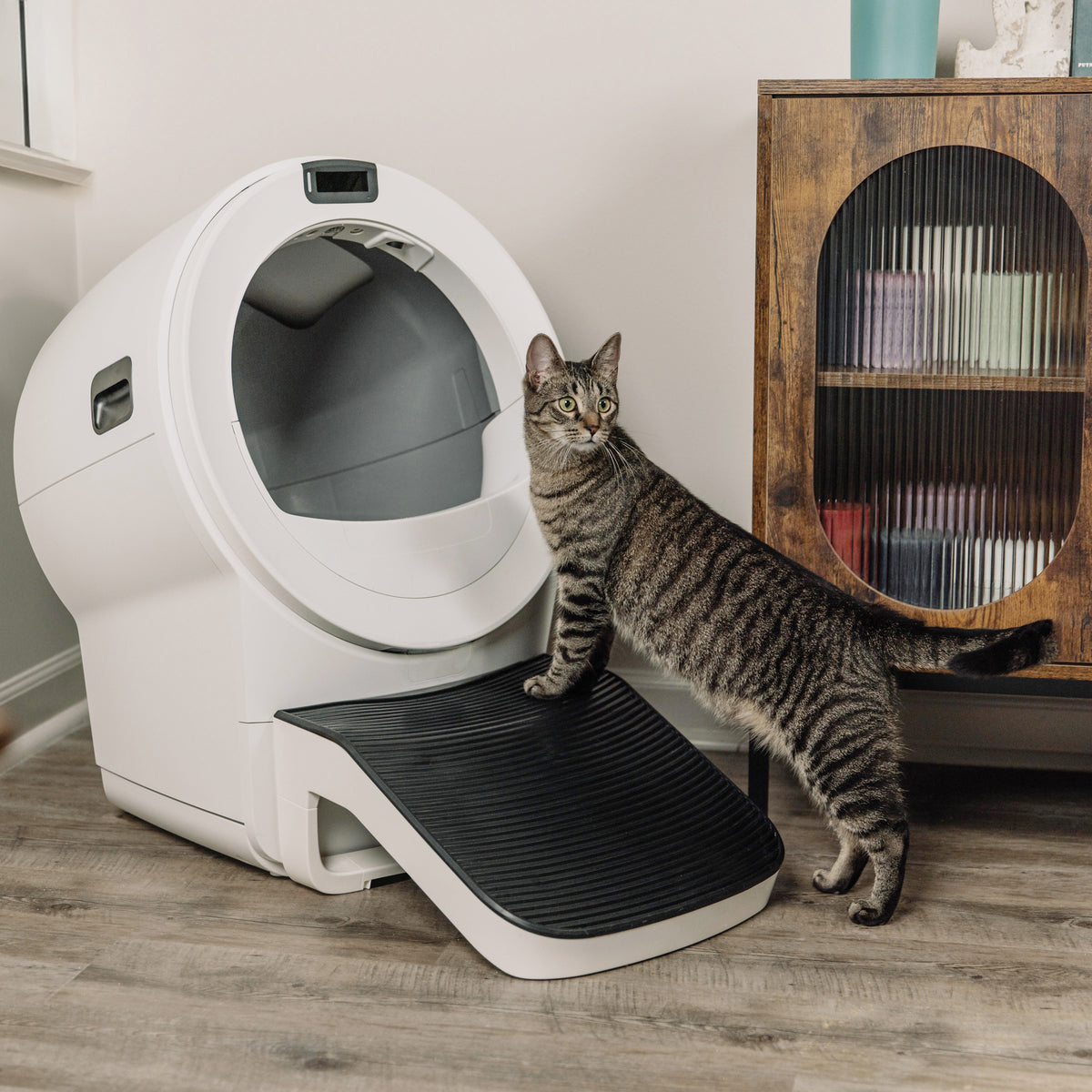 Litter-Robot 5 Ramp