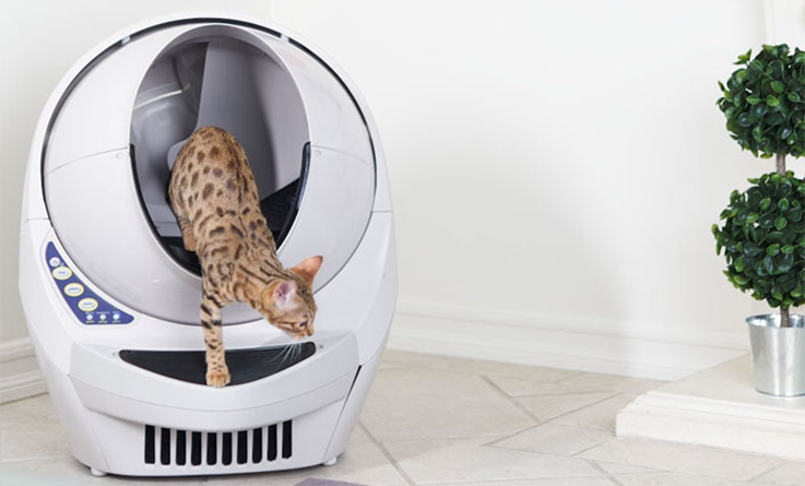 Self Cleaning Automatic Cat Litter Box Australia Cat Evolution