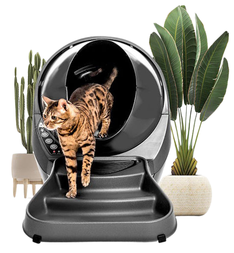 Cat litter box australia outlet