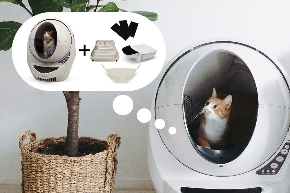 Amazon Temporary Cat Litter Box The Porta-Pawty