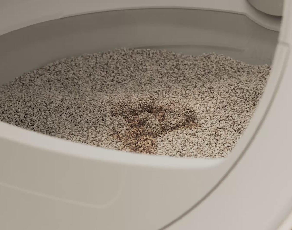 Litter clumping inside the Litter-Robot globe