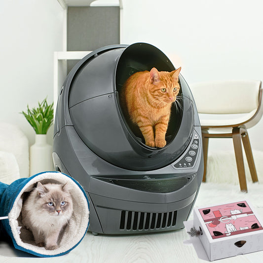 Litter-Robot Play and Relax