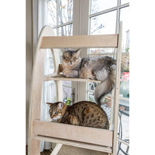 Load image into Gallery viewer, Contoure Cat Tree
